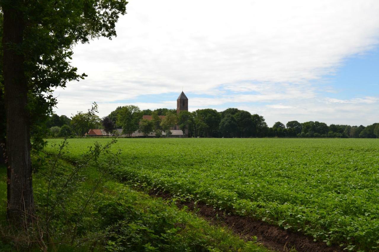 Mooi Nieuw Houten Huisje Havelte Dış mekan fotoğraf